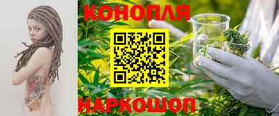 крисы Гусев
