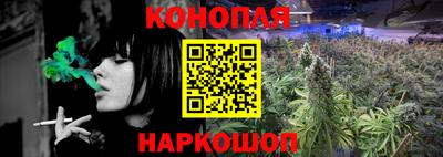 крисы Гусев