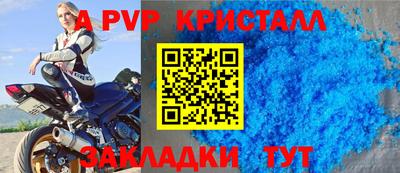 крисы Гусев