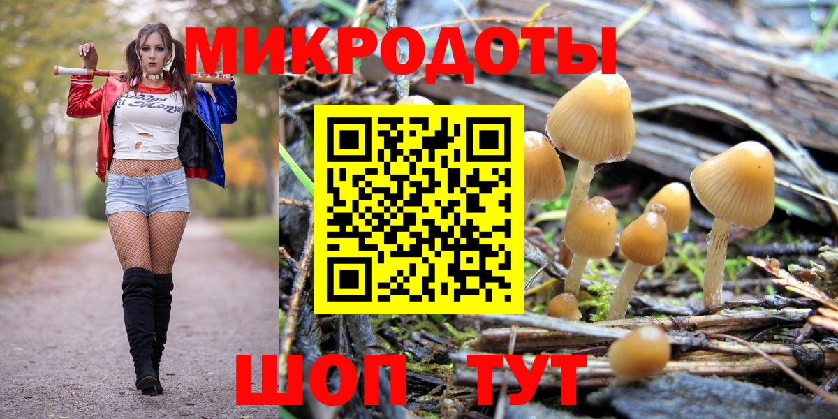 Галлюциногенные грибы MAGIC MUSHROOMS  продажа наркотиков  Нижний Новгород  Вход с VPN  Псилоцибиновые грибы GOLDEN TEACHER 